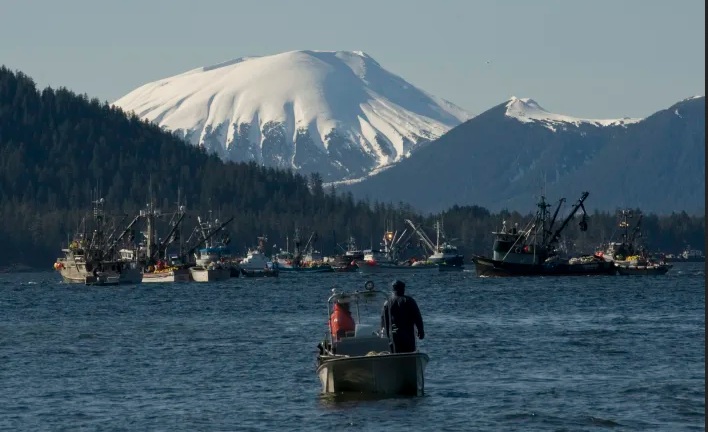 Snow capped mountains over Sitka Sound as Boats jockey for position minutes before the opening of the Sitka Sound.